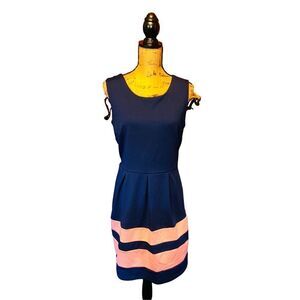 Enfocus Studio Size 14 Women Dress Pullover Sleeveless Navy Pink